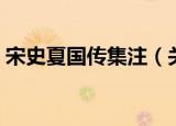 宋史夏国传集注（关于宋史夏国传集注介绍）