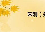 宋刚（关于宋刚介绍）