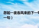 忽如一夜春风来的下一句是什么意思（忽如一夜春风来的下一句）