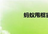 蚂蚁甩棍官网（蚂蚁甩棍）
