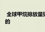  全球甲烷排放量猛增 但多少是由于湿地造成的