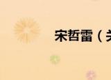 宋哲雷（关于宋哲雷介绍）