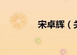 宋卓辉（关于宋卓辉介绍）