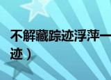 不解藏踪迹浮萍一道开出自哪首诗（不解藏踪迹）