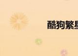  酷狗繁星怎么搜索主播