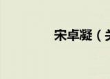 宋卓凝（关于宋卓凝介绍）
