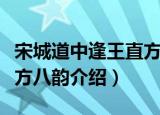 宋城道中逢王直方八韵（关于宋城道中逢王直方八韵介绍）