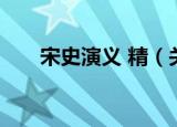 宋史演义 精（关于宋史演义 精介绍）