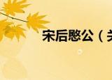 宋后愍公（关于宋后愍公介绍）