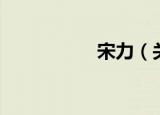 宋力（关于宋力介绍）