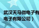 武汉天马微电子有限公司怎么样（武汉天马微电子有限公司）