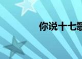 你说十七歌词（你说 十七）