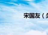 宋国友（关于宋国友介绍）