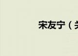 宋友宁（关于宋友宁介绍）