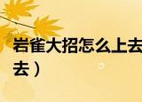 岩雀大招怎么上去中途下来（岩雀大招怎么上去）
