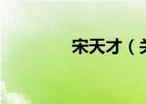 宋天才（关于宋天才介绍）