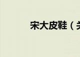 宋大皮鞋（关于宋大皮鞋介绍）