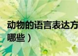 动物的语言表达方式有哪些（语言表达方式有哪些）