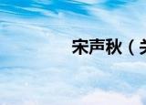 宋声秋（关于宋声秋介绍）