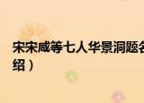 宋宋咸等七人华景洞题名（关于宋宋咸等七人华景洞题名介绍）