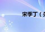宋季丁（关于宋季丁介绍）