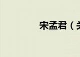 宋孟君（关于宋孟君介绍）