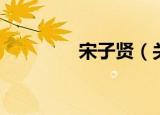 宋子贤（关于宋子贤介绍）