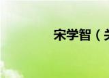 宋学智（关于宋学智介绍）