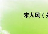 宋大风（关于宋大风介绍）