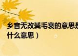 乡音无改鬓毛衰的意思是什么意思（乡音无改鬓毛衰的衰是什么意思）