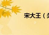 宋大王（关于宋大王介绍）