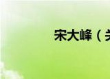 宋大峰（关于宋大峰介绍）