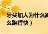 牙买加人为什么跑得快 知乎（牙买加人为什么跑得快）