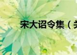 宋大诏令集（关于宋大诏令集介绍）