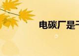 电碳厂是干什么的（电碳）