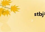 stbj考试（stb）