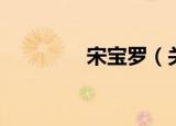 宋宝罗（关于宋宝罗介绍）