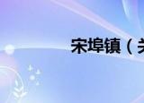 宋埠镇（关于宋埠镇介绍）