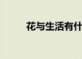 花与生活有什么关系（花与生活）