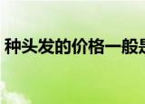 种头发的价格一般是多少（种植头发的价格）