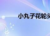 小丸子花轮头像（小丸子 花轮）
