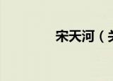 宋天河（关于宋天河介绍）