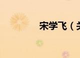 宋学飞（关于宋学飞介绍）