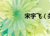 宋宇飞（关于宋宇飞介绍）
