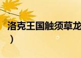 洛克王国触须草龙怎么抓（洛克王国触须草龙）
