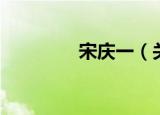 宋庆一（关于宋庆一介绍）