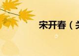 宋开春（关于宋开春介绍）