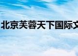 北京芙蓉天下国际文化传媒有限公司是国企吗