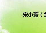 宋小芳（关于宋小芳介绍）