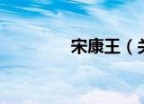 宋康王（关于宋康王介绍）